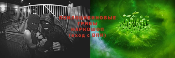 ПСИЛОЦИБИНОВЫЕ ГРИБЫ Абаза