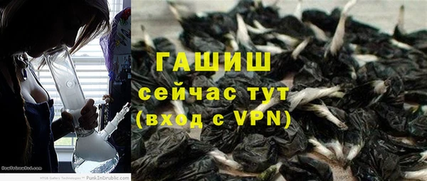 ПСИЛОЦИБИНОВЫЕ ГРИБЫ Абаза