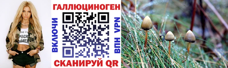 Псилоцибиновые грибы GOLDEN TEACHER Тбилисская